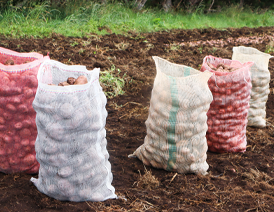 Sacos Agricolas